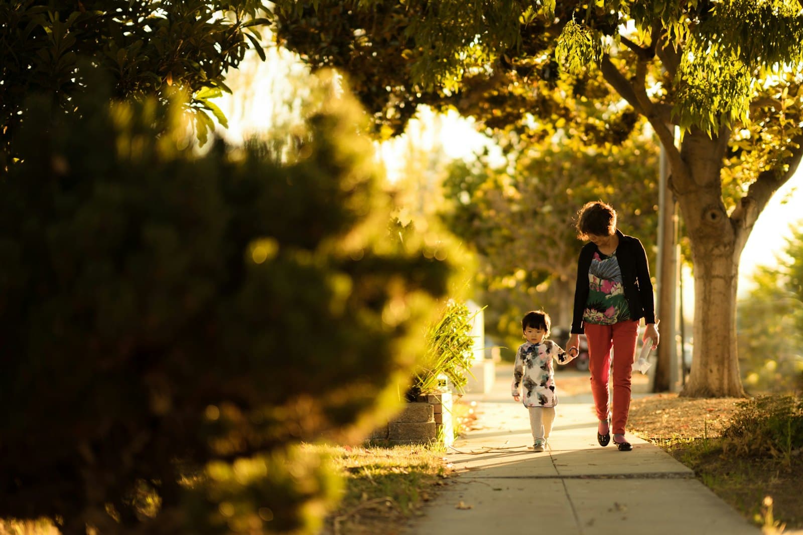 A parent and child walking together in warm evening light